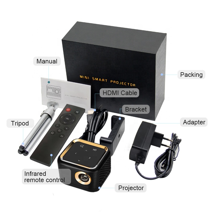 2024 Mini Portable USB Pocket  - Home Cinema Kids review and price