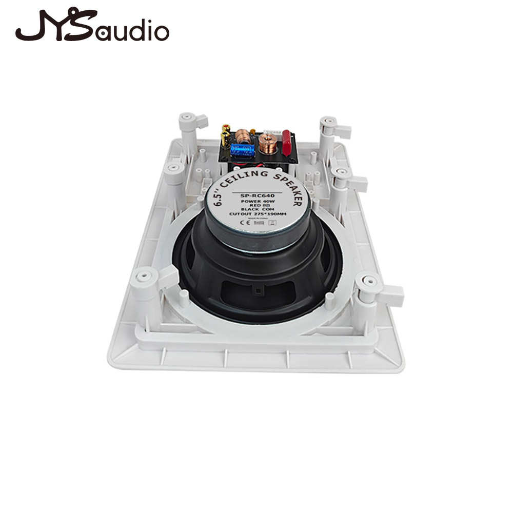 In-wall Speaker Two-way Loudsp - Home Cinema Wall review and price