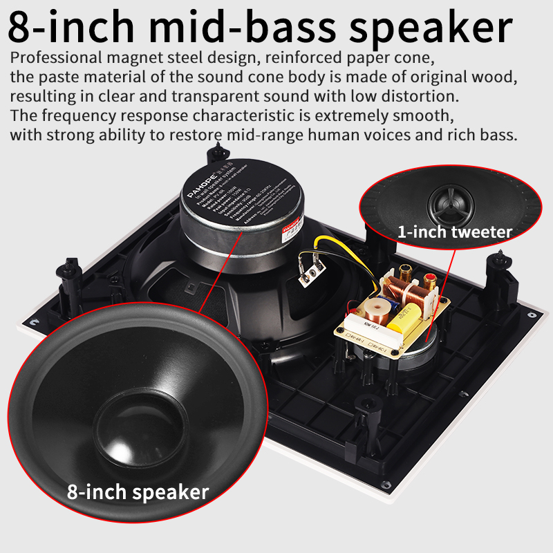 HIFI Inwall Speaker 100watts C - Home Cinema Wall review and price