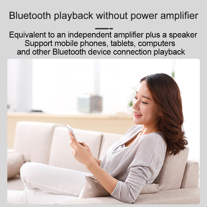 Mini Bluetooth Ceiling Speaker - Home Cinema System review and price
