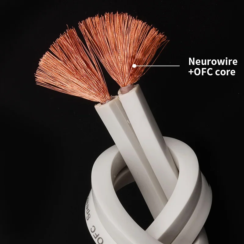 YYTCG DIY Loud Speaker Cable H - Home Cinema Hall review and price