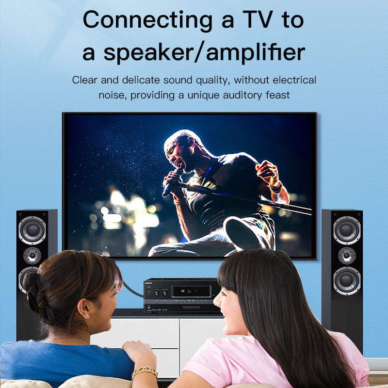 CHOSEAL RCA Cable Digital Coax - Home Cinema Hall review and price